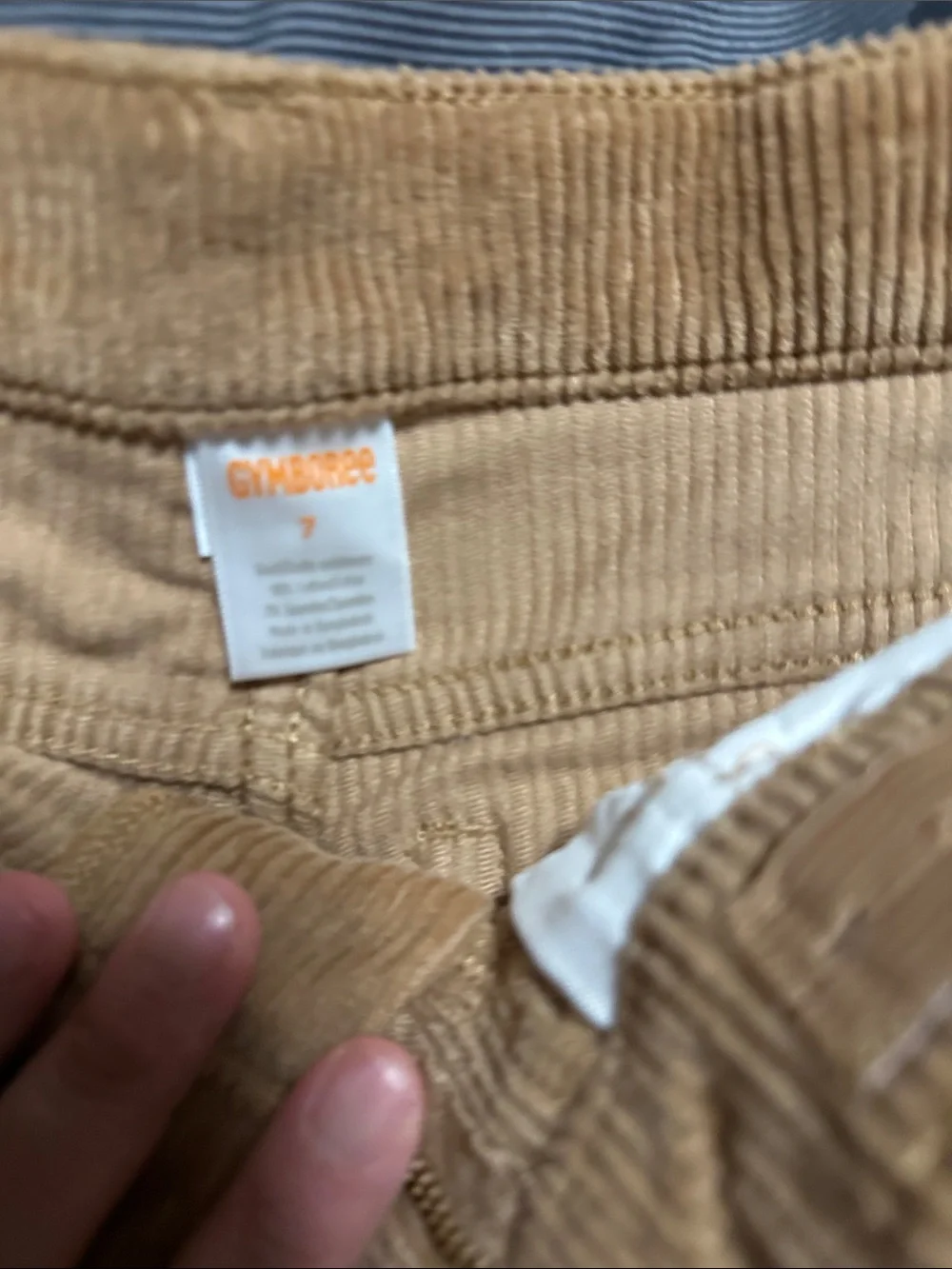 Gymboree boys  Corduroy Pants in Camel Brown